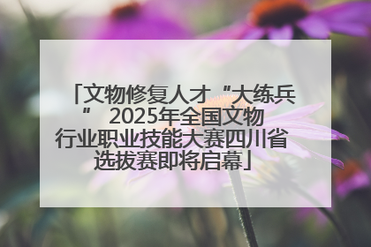 文物修复人才“大练兵” 2025年全国文物行业职业技能大赛四川省选拔赛即将启幕