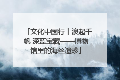 文化中国行丨浪起千帆 深蓝宝藏——博物馆里的海丝遗珍