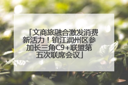 文商旅融合激发消费新活力！镇江润州区参加长三角C9+联盟第五次联席会议