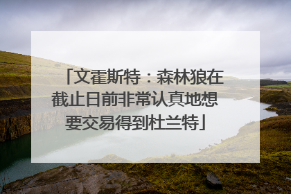 文霍斯特：森林狼在截止日前非常认真地想要交易得到杜兰特