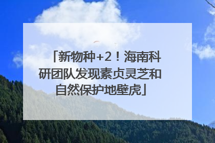 新物种+2！海南科研团队发现素贞灵芝和自然保护地壁虎