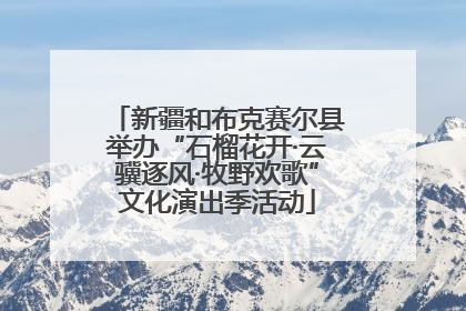 新疆和布克赛尔县举办“石榴花开·云骥逐风·牧野欢歌”文化演出季活动