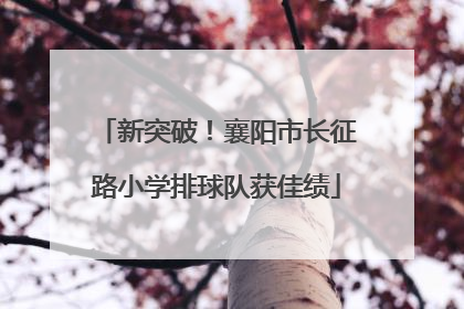 新突破！襄阳市长征路小学排球队获佳绩