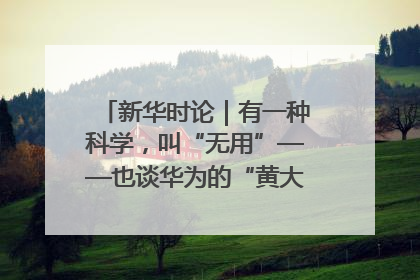 新华时论｜有一种科学，叫“无用”——也谈华为的“黄大年茶思屋”