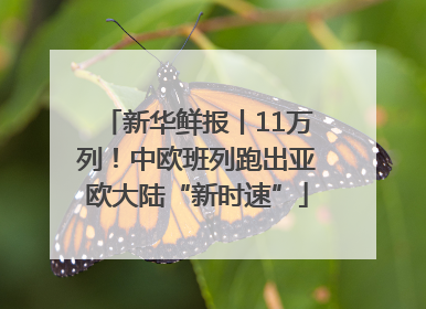 新华鲜报丨11万列！中欧班列跑出亚欧大陆“新时速”