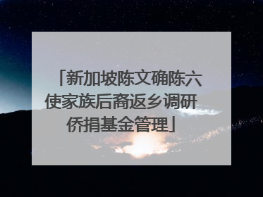 新加坡陈文确陈六使家族后裔返乡调研侨捐基金管理