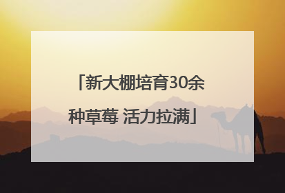 新大棚培育30余种草莓 活力拉满