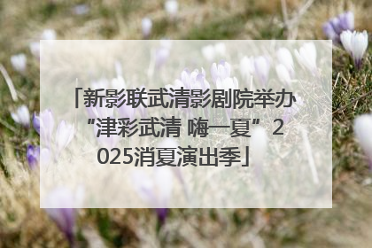 新影联武清影剧院举办“津彩武清 嗨一夏”2025消夏演出季