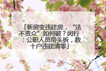 新房变违建房，“法不责众”如何破？闵行：公职人员带头拆，数十户违建清零