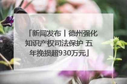 新闻发布丨德州强化知识产权司法保护 五年挽损超930万元
