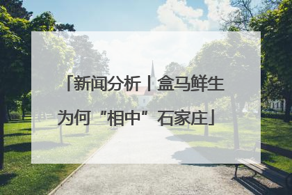 新闻分析丨盒马鲜生为何“相中”石家庄