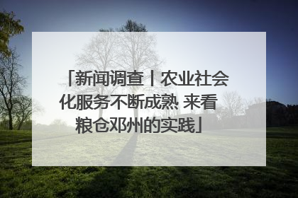 新闻调查丨农业社会化服务不断成熟 来看粮仓邓州的实践