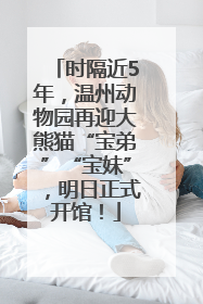时隔近5年，温州动物园再迎大熊猫“宝弟”“宝妹”，明日正式开馆！