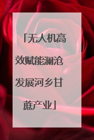 无人机高效赋能澜沧发展河乡甘蔗产业