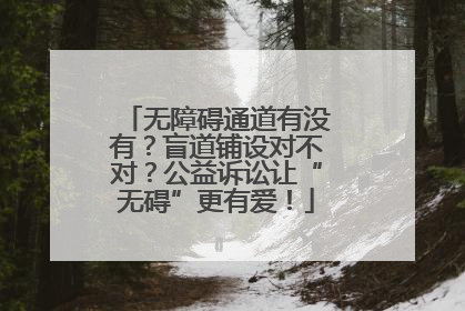 无障碍通道有没有？盲道铺设对不对？公益诉讼让“无碍”更有爱！