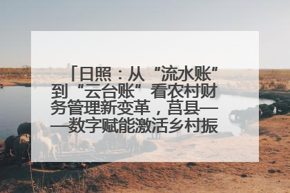 日照：从“流水账”到“云台账”看农村财务管理新变革，莒县——数字赋能激活乡村振兴“一池春水”