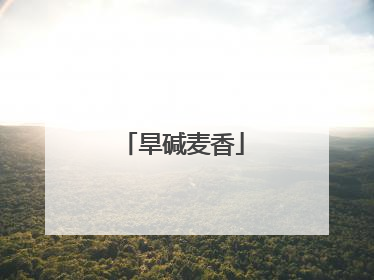 旱碱麦香