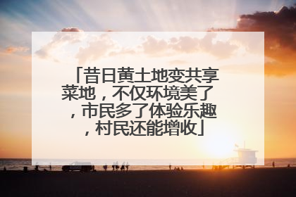 昔日黄土地变共享菜地，不仅环境美了，市民多了体验乐趣，村民还能增收