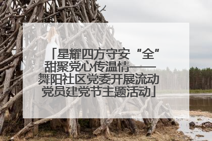 星耀四方守安“全” 甜聚党心传温情——舞阳社区党委开展流动党员建党节主题活动