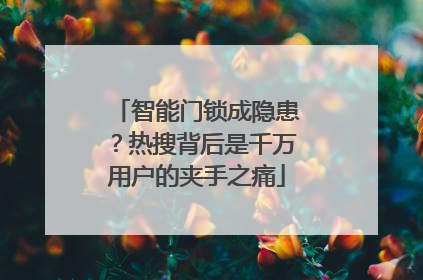智能门锁成隐患？热搜背后是千万用户的夹手之痛