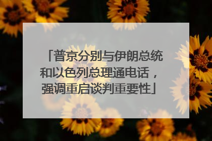 普京分别与伊朗总统和以色列总理通电话，强调重启谈判重要性