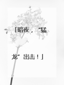 暗夜，“猛龙”出击！