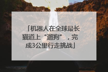 机器人在全球最长猫道上“遛狗”，完成3公里行走挑战