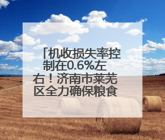 机收损失率控制在0.6%左右！济南市莱芜区全力确保粮食颗粒归仓