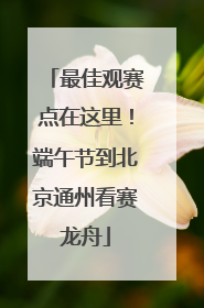 最佳观赛点在这里！端午节到北京通州看赛龙舟