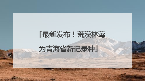 最新发布！荒漠林莺为青海省新记录种