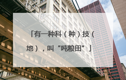 有一种科（种）技（地），叫“吨粮田”