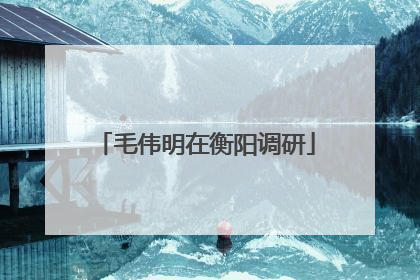 毛伟明在衡阳调研