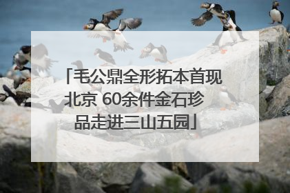 毛公鼎全形拓本首现北京 60余件金石珍品走进三山五园