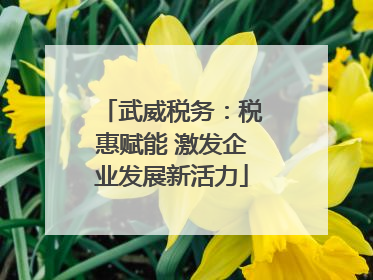 武威税务：税惠赋能 激发企业发展新活力