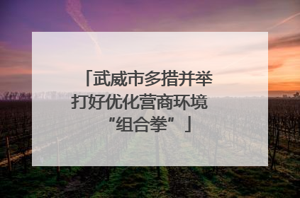 武威市多措并举打好优化营商环境“组合拳”
