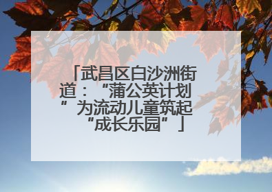 武昌区白沙洲街道：“蒲公英计划”为流动儿童筑起“成长乐园”