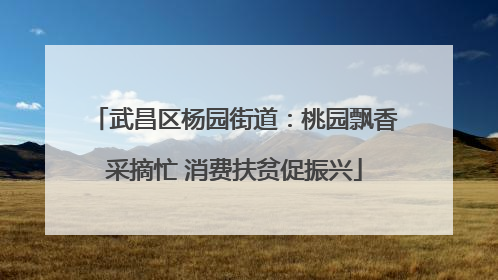 武昌区杨园街道：桃园飘香采摘忙 消费扶贫促振兴