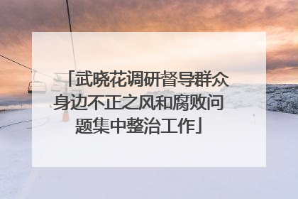 武晓花调研督导群众身边不正之风和腐败问题集中整治工作