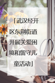武汉经开区东荆街道开展关爱困境和留守儿童活动
