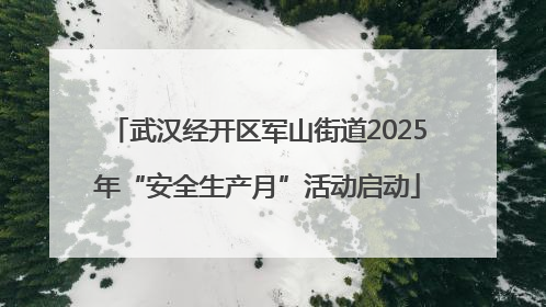 武汉经开区军山街道2025年“安全生产月”活动启动