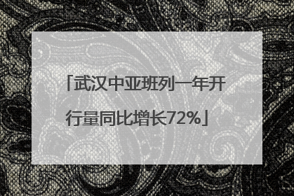 武汉中亚班列一年开行量同比增长72%