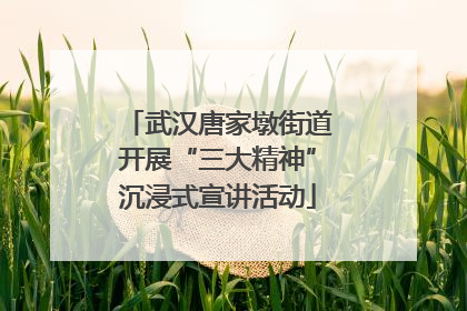 武汉唐家墩街道开展“三大精神”沉浸式宣讲活动