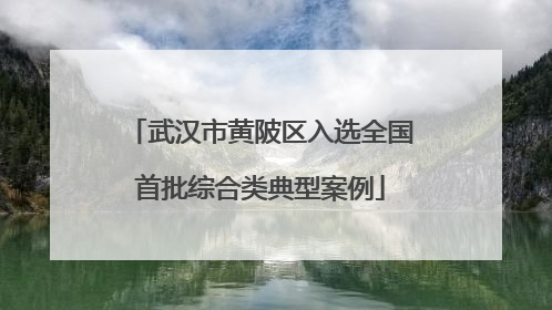 武汉市黄陂区入选全国首批综合类典型案例