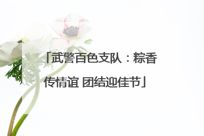 武警百色支队：粽香传情谊 团结迎佳节