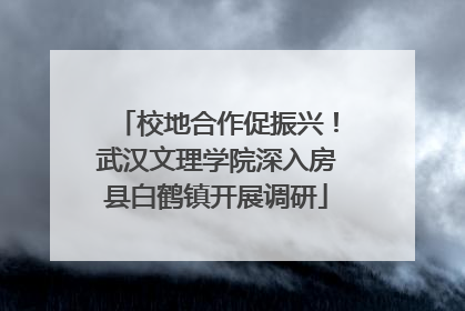 校地合作促振兴！武汉文理学院深入房县白鹤镇开展调研