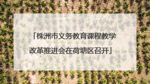 株洲市义务教育课程教学改革推进会在荷塘区召开