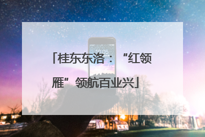桂东东洛：“红领雁”领航百业兴