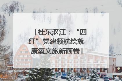 桂东沤江：“四红”党建领航绘就康氧文旅新画卷