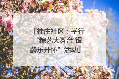 桂庄社区：举行“粽艺大舞台 银龄乐开怀”活动