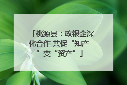 桃源县：政银企深化合作 共促“知产”变“资产”